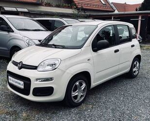Fiat Panda Gebrauchtwagen