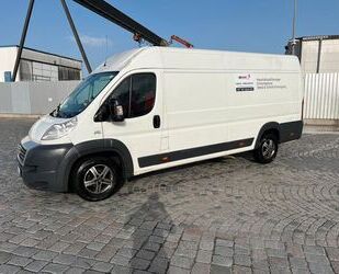 Fiat Ducato Gebrauchtwagen