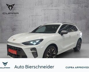 Cupra Terramar Gebrauchtwagen
