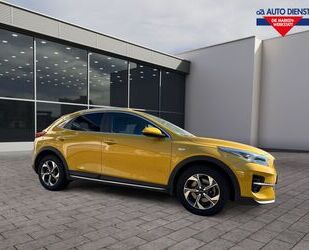 Kia XCeed Gebrauchtwagen