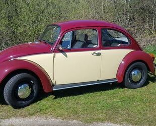 VW Käfer Gebrauchtwagen