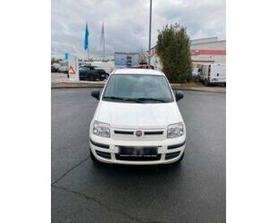 Fiat Panda Gebrauchtwagen