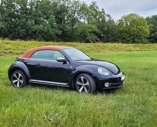 VW Beetle Gebrauchtwagen