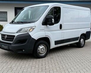 Fiat Ducato Gebrauchtwagen