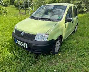 Fiat Panda Gebrauchtwagen