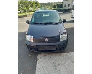 Fiat Panda Gebrauchtwagen