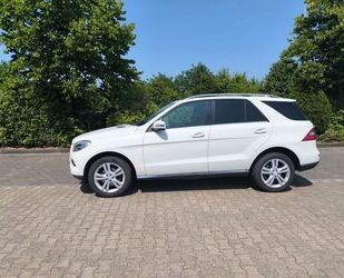 Mercedes-Benz ML 250 Gebrauchtwagen