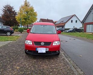 VW Caddy Maxi Gebrauchtwagen