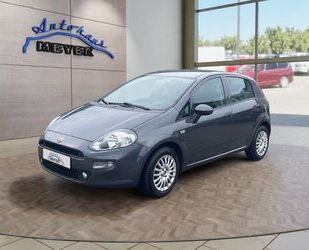 Fiat Punto Gebrauchtwagen