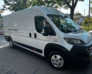 Fiat Ducato Gebrauchtwagen