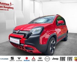 Fiat Panda Gebrauchtwagen