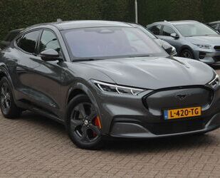 Ford Mustang Mach-E Gebrauchtwagen