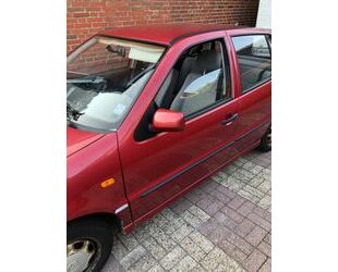 VW Polo Gebrauchtwagen