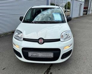 Fiat Panda Gebrauchtwagen