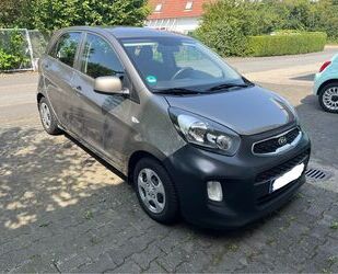 Kia Picanto Gebrauchtwagen