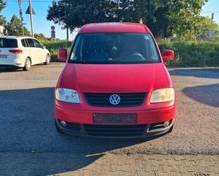 VW Caddy Maxi Gebrauchtwagen