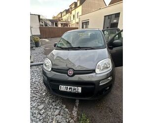 Fiat New Panda Gebrauchtwagen