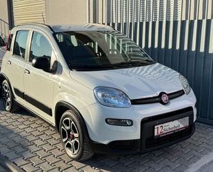 Fiat Panda Gebrauchtwagen