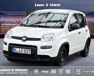 Fiat Panda Gebrauchtwagen