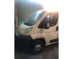 Fiat Ducato Gebrauchtwagen