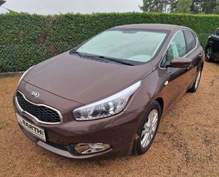 Kia ceed / Ceed Gebrauchtwagen