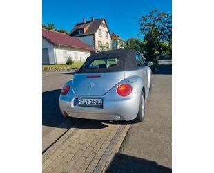 VW Beetle Gebrauchtwagen