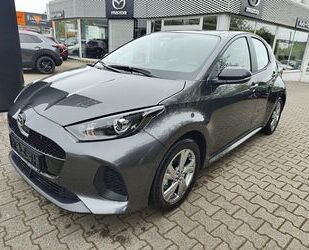 Mazda 2 Hybrid Gebrauchtwagen