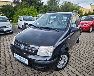 Fiat Panda Gebrauchtwagen