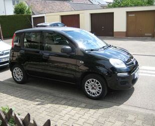 Fiat Panda Gebrauchtwagen