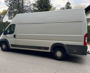Fiat Ducato Gebrauchtwagen