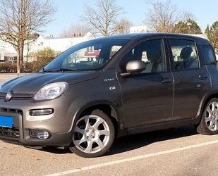 Fiat Panda Gebrauchtwagen