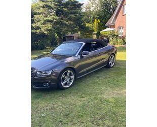 Audi Cabriolet Gebrauchtwagen