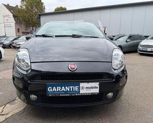 Fiat Punto Gebrauchtwagen