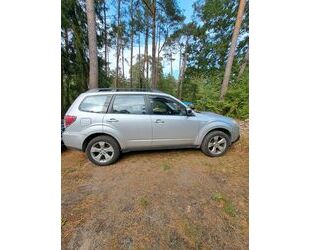 Subaru Forester Gebrauchtwagen