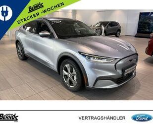 Ford Mustang Mach-E Gebrauchtwagen
