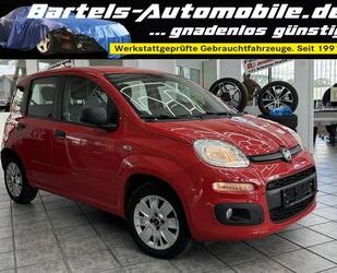 Fiat Panda Gebrauchtwagen