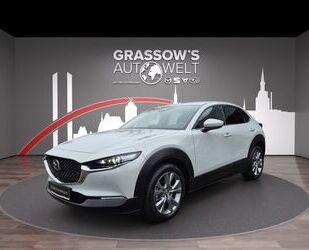 Mazda CX-30 Gebrauchtwagen