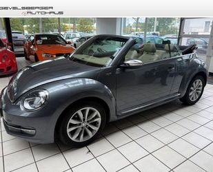 VW Beetle Gebrauchtwagen