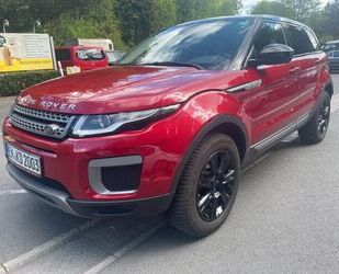 Land Rover Range Rover Evoque Gebrauchtwagen