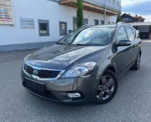 Kia ceed / Ceed Gebrauchtwagen