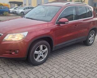VW Tiguan Gebrauchtwagen