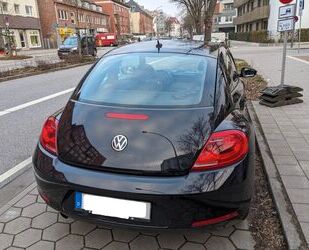 VW Volkswagen Beetle 1.6 TDI in hervorragendem Zustan Gebrauchtwagen