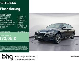 Skoda Scala Gebrauchtwagen