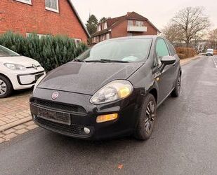 Fiat Punto Gebrauchtwagen