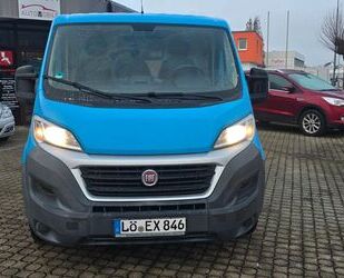 Fiat Ducato Gebrauchtwagen