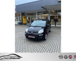 Fiat Panda Gebrauchtwagen