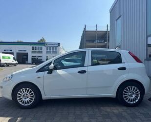 Fiat Punto Gebrauchtwagen