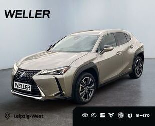 Lexus UX Gebrauchtwagen