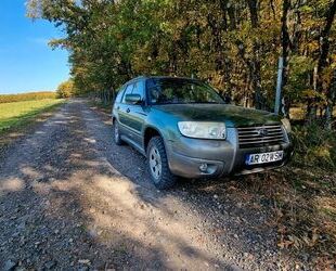 Subaru Forester Gebrauchtwagen
