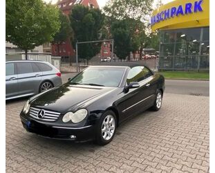 Mercedes-Benz 240 Gebrauchtwagen